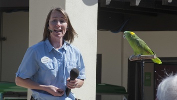 321-1306 San Diego Zoo - Jessica and the Parrot